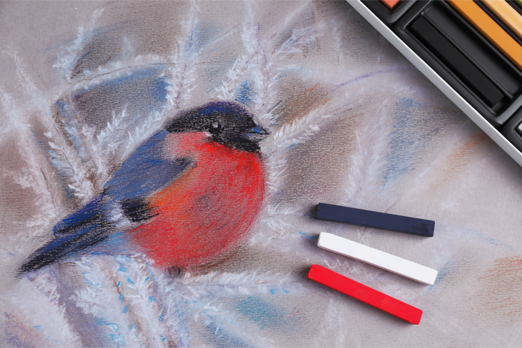 drawing of finch with pastel chalk