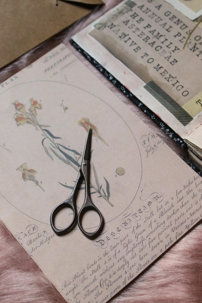 Close-up of a vintage scrapbook page with antique scissors and botanical illustrations.