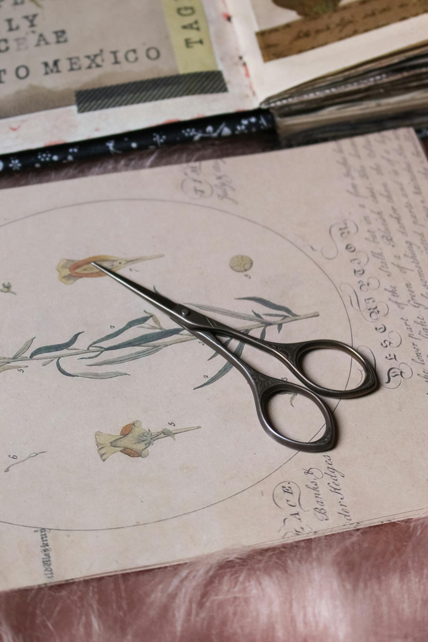 vintage scissors on botanical scrapbook paper for vintage scissors on botanical scrapbook paper for